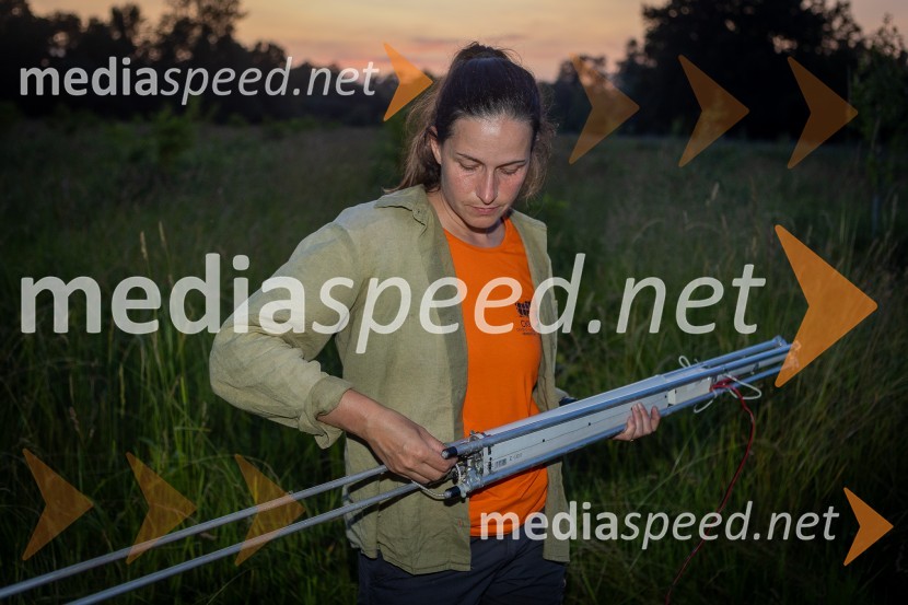 BioBlitz Slovenija 2025, 24-urno raziskovanje narave