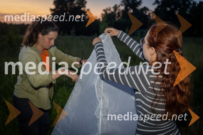 BioBlitz Slovenija 2025, 24-urno raziskovanje narave