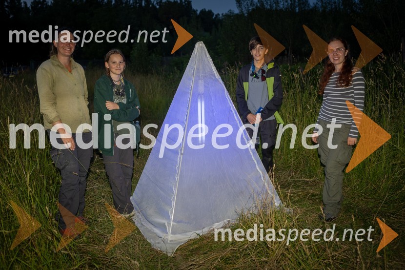 BioBlitz Slovenija 2025, 24-urno raziskovanje narave