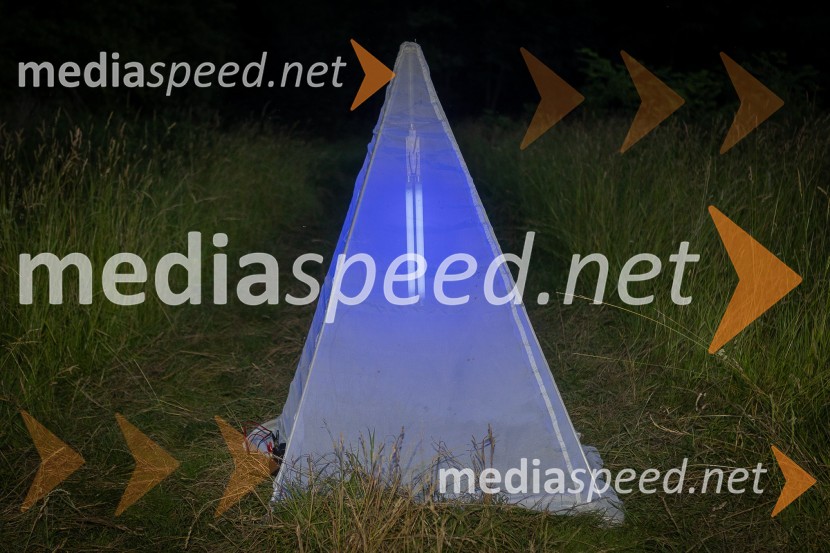 BioBlitz Slovenija 2025, 24-urno raziskovanje narave