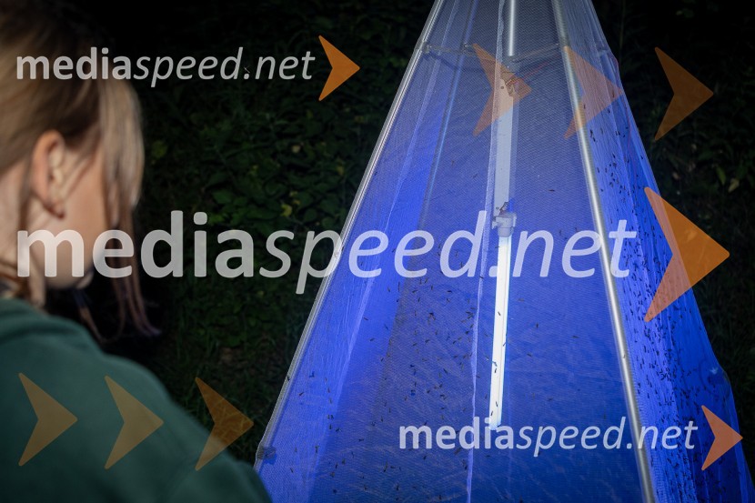 BioBlitz Slovenija 2025, 24-urno raziskovanje narave