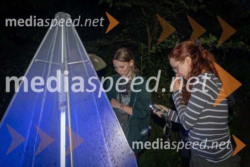 BioBlitz Slovenija 2025, 24-urno raziskovanje narave