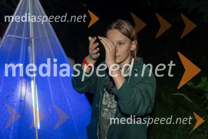 BioBlitz Slovenija 2025, 24-urno raziskovanje narave