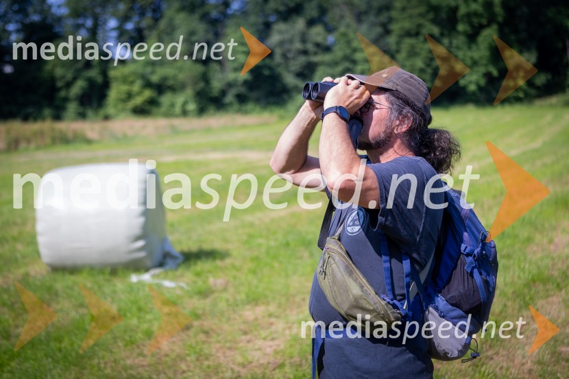 BioBlitz 2025, zaključek naravoslovnega maratona