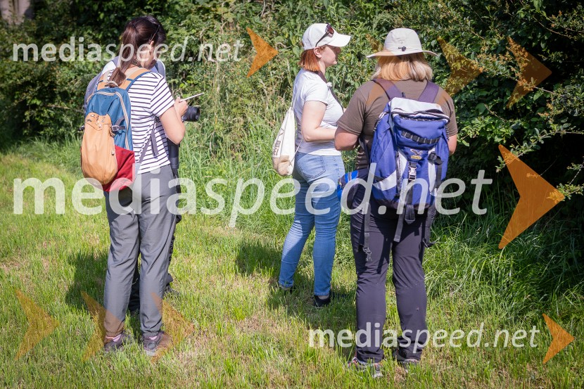 BioBlitz 2025, zaključek naravoslovnega maratona