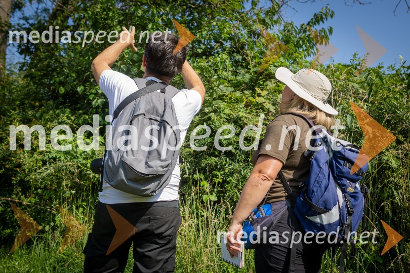 BioBlitz 2025, zaključek naravoslovnega maratona