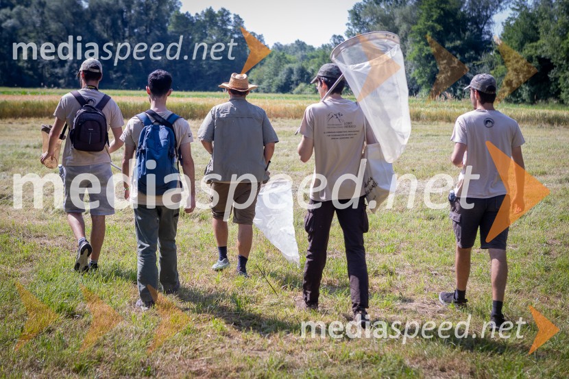 BioBlitz 2025, zaključek naravoslovnega maratona