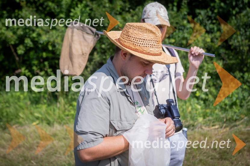 BioBlitz 2025, zaključek naravoslovnega maratona