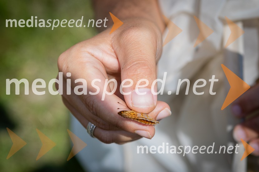 BioBlitz 2025, zaključek naravoslovnega maratona