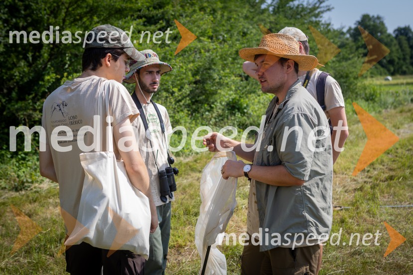 BioBlitz 2025, zaključek naravoslovnega maratona