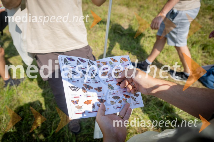 BioBlitz 2025, zaključek naravoslovnega maratona