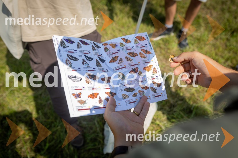 BioBlitz 2025, zaključek naravoslovnega maratona