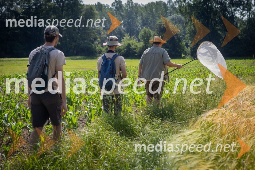 BioBlitz 2025, zaključek naravoslovnega maratona