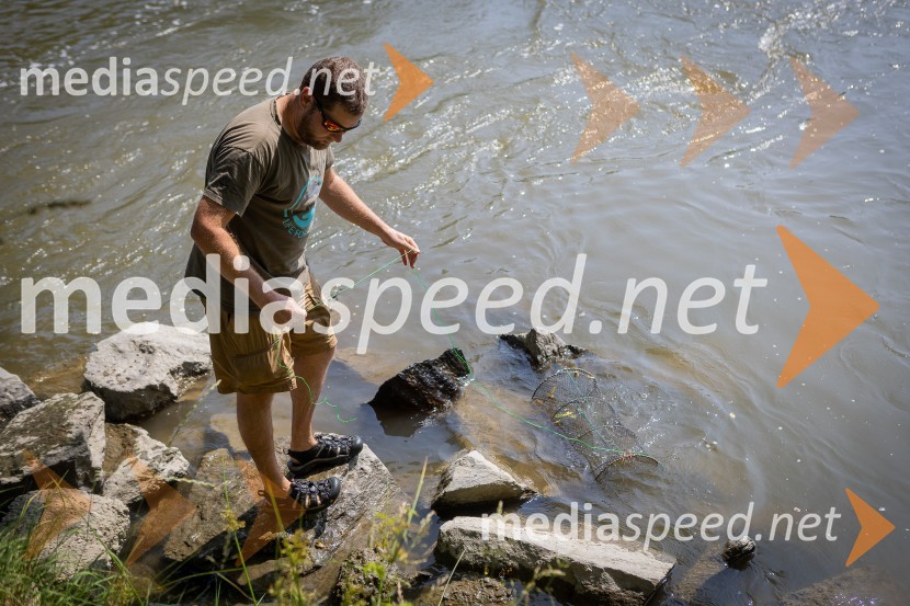 BioBlitz 2025, zaključek naravoslovnega maratona