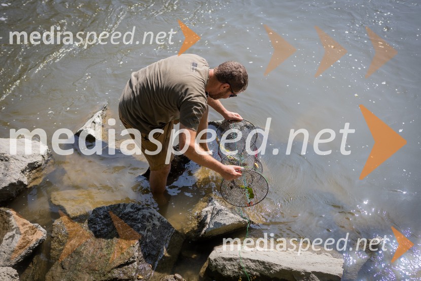 BioBlitz 2025, zaključek naravoslovnega maratona