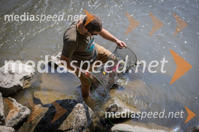 BioBlitz 2025, zaključek naravoslovnega maratona
