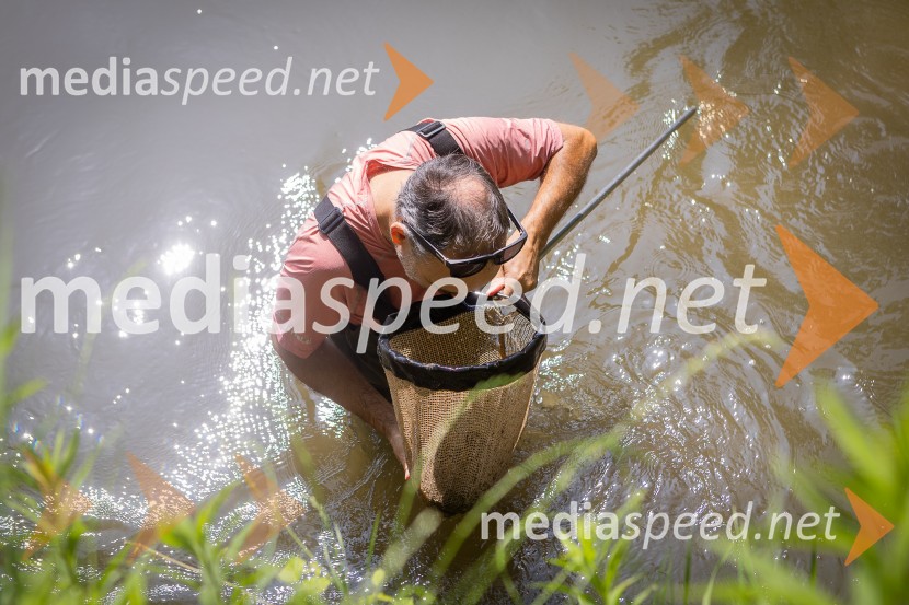 BioBlitz 2025, zaključek naravoslovnega maratona