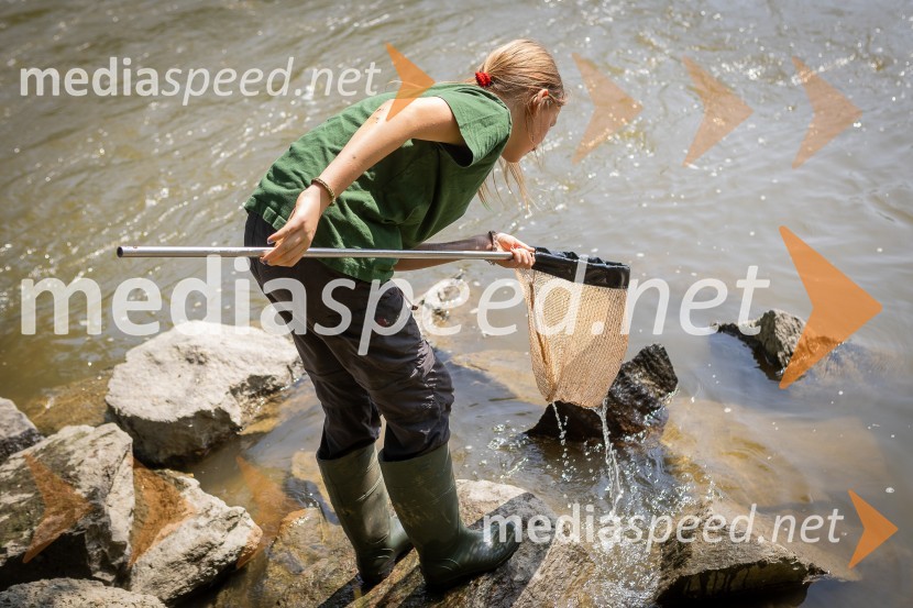 BioBlitz 2025, zaključek naravoslovnega maratona