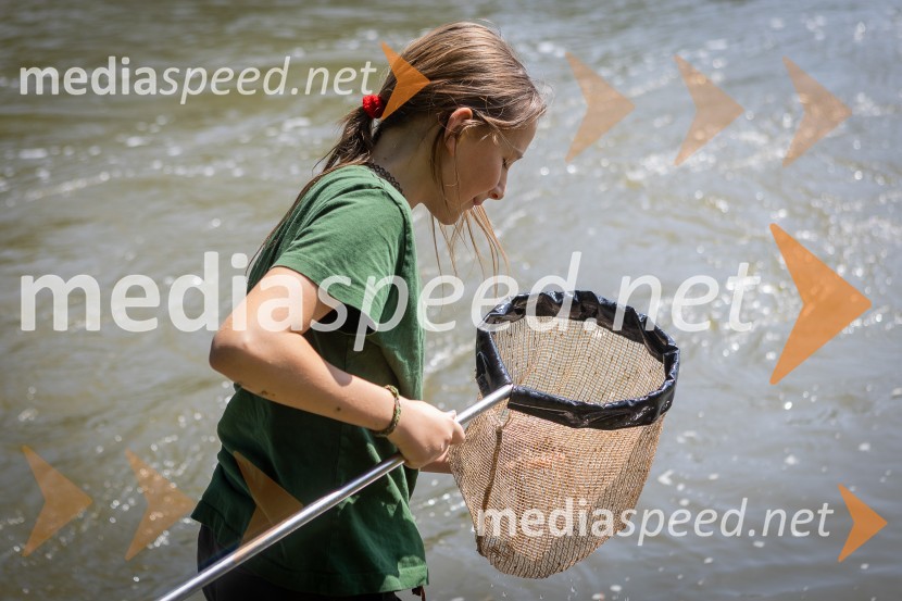 BioBlitz 2025, zaključek naravoslovnega maratona