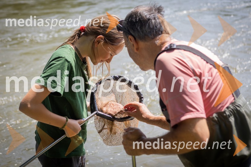 BioBlitz 2025, zaključek naravoslovnega maratona