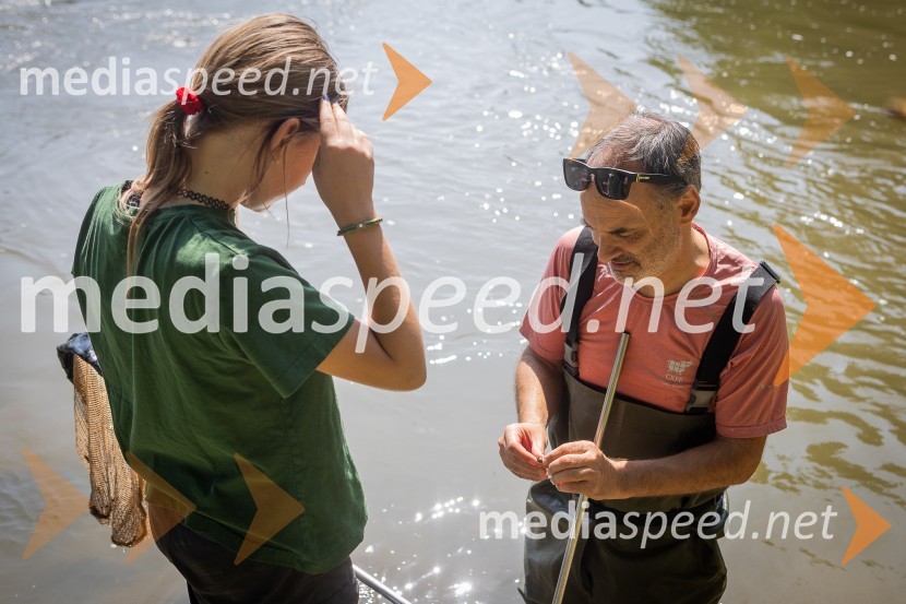 BioBlitz 2025, zaključek naravoslovnega maratona