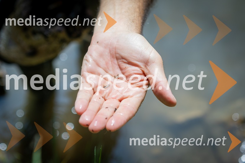 BioBlitz 2025, zaključek naravoslovnega maratona