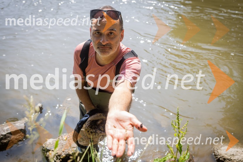 BioBlitz 2025, zaključek naravoslovnega maratona