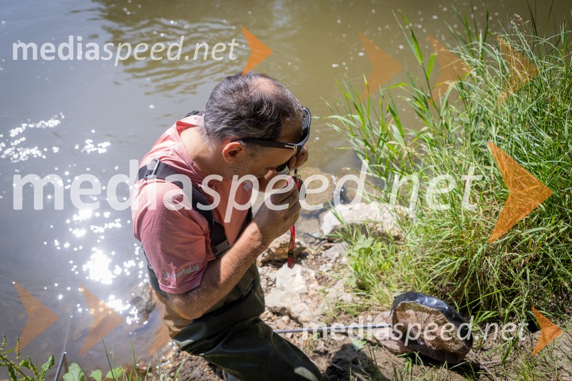 BioBlitz 2025, zaključek naravoslovnega maratona