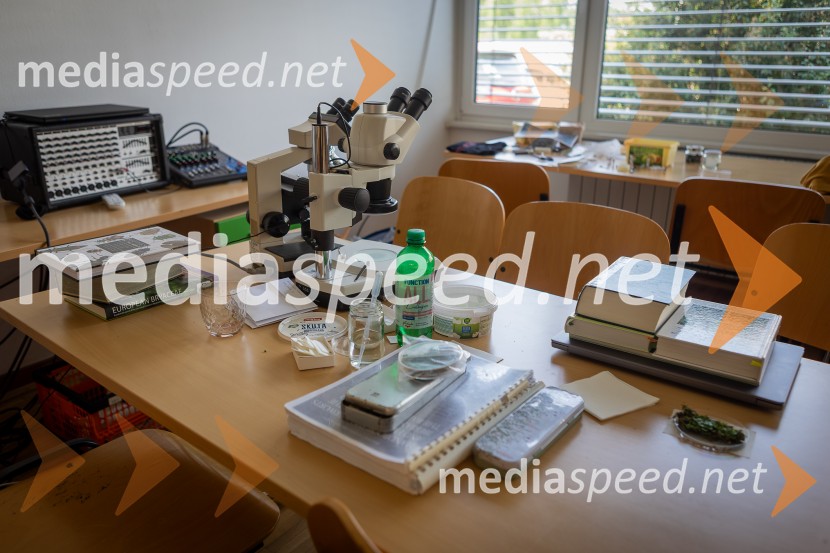 BioBlitz 2025, zaključek naravoslovnega maratona