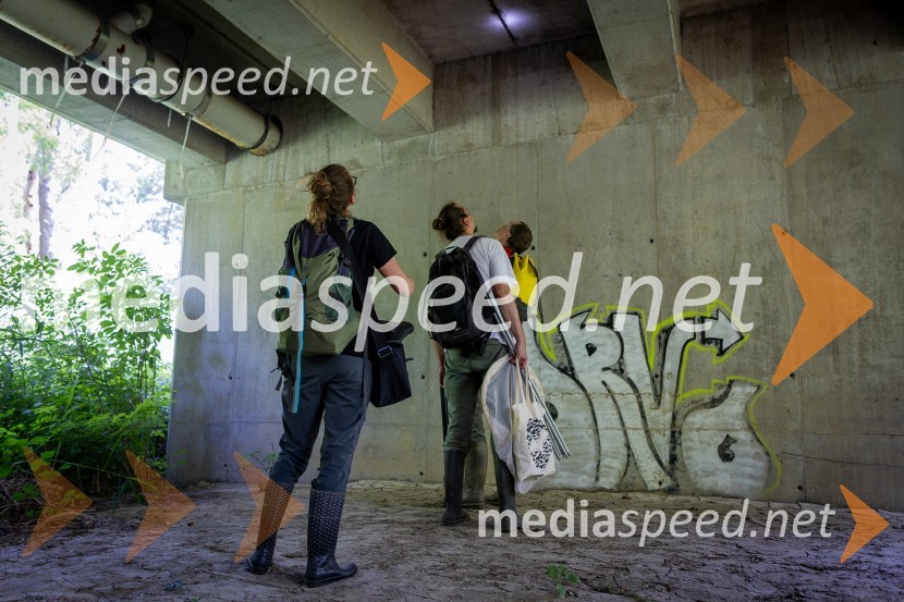 BioBlitz 2025, zaključek naravoslovnega maratona