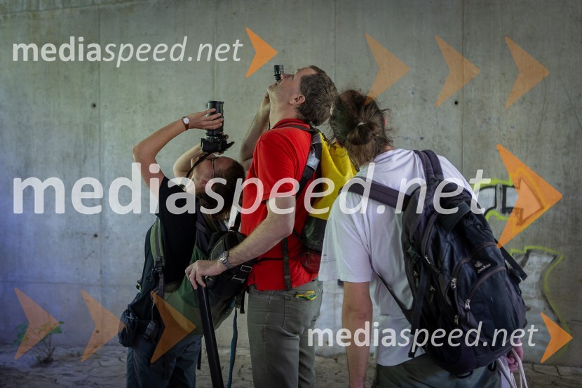 BioBlitz 2025, zaključek naravoslovnega maratona