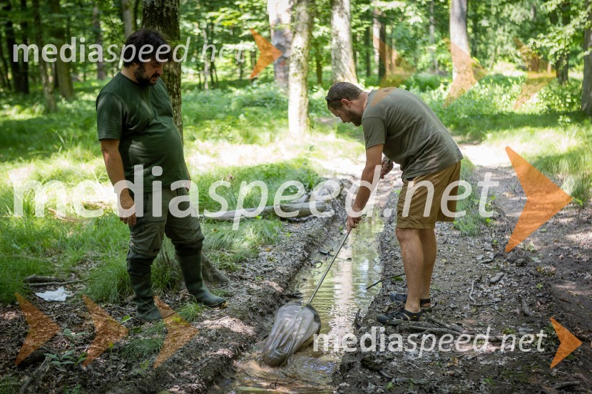BioBlitz 2025, zaključek naravoslovnega maratona