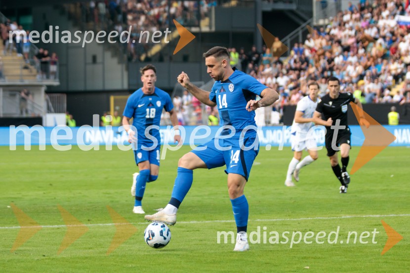 Slovenija - Bosna in Hercegovina, nogomet