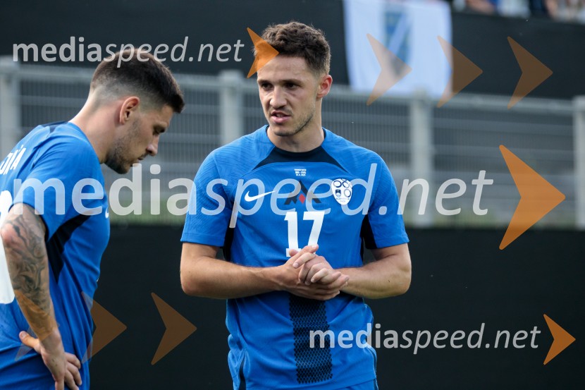 Slovenija - Bosna in Hercegovina, nogomet