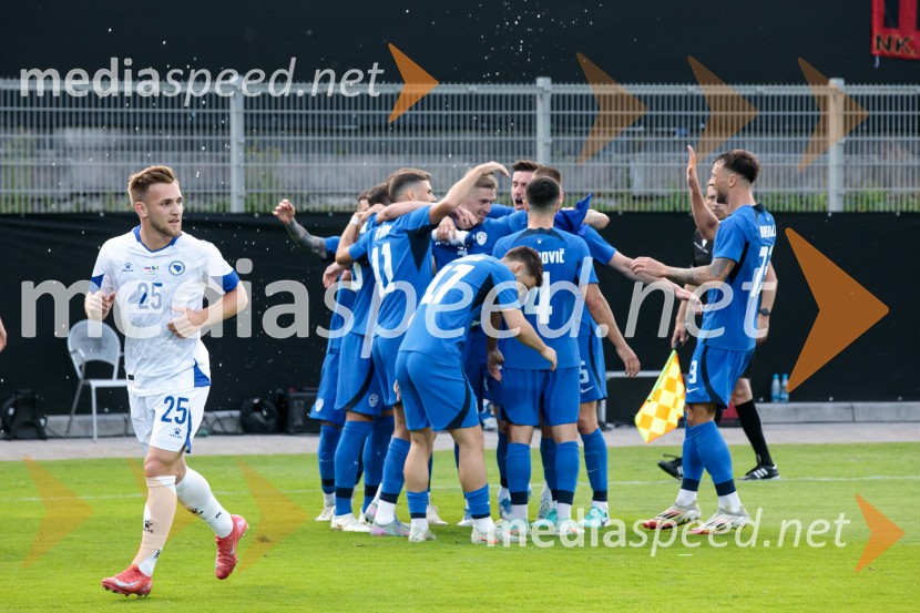 Slovenija - Bosna in Hercegovina, nogomet