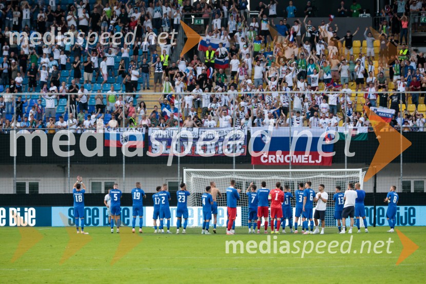 Slovenija - Bosna in Hercegovina, nogomet