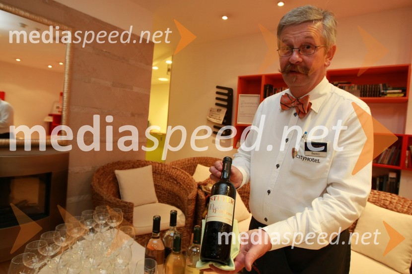 Slovenska popevka 2009, zaključna zabava