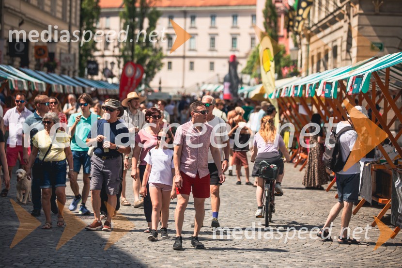 Ljubljanska vinska pot, poletna vinska razvajanja