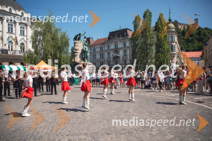 Ljubljanska vinska pot, poletna vinska razvajanja