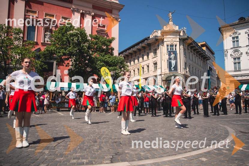 Ljubljanska vinska pot, poletna vinska razvajanja