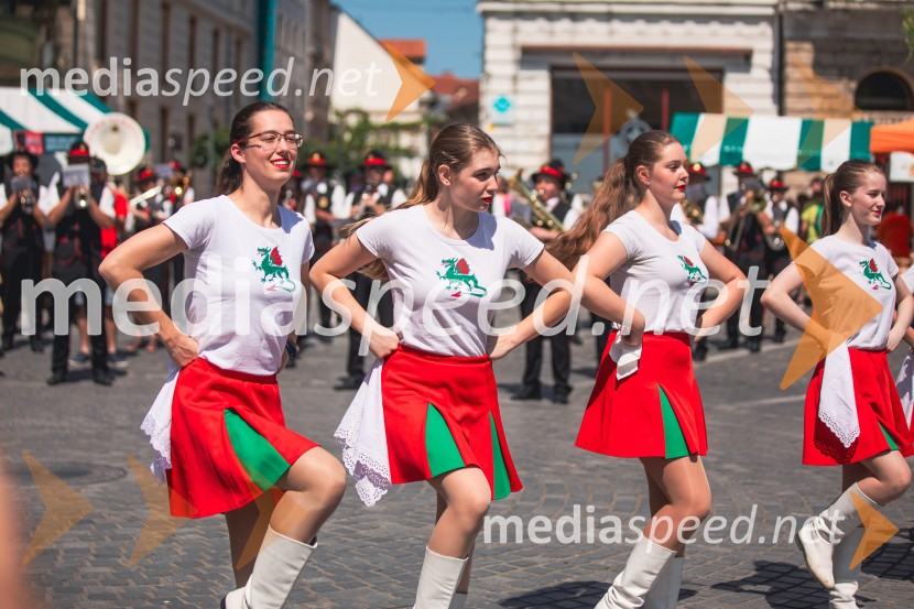 Ljubljanska vinska pot, poletna vinska razvajanja