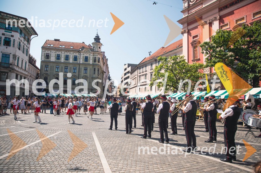 Ljubljanska vinska pot, poletna vinska razvajanja