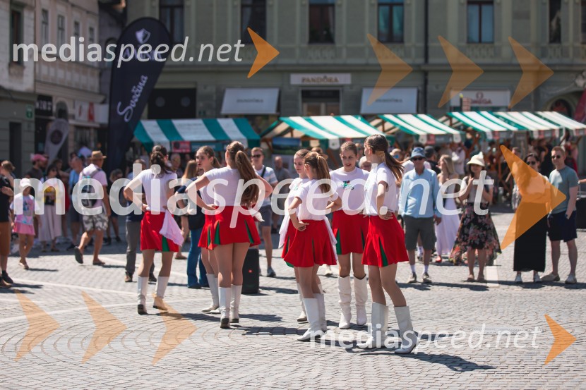 Ljubljanska vinska pot, poletna vinska razvajanja
