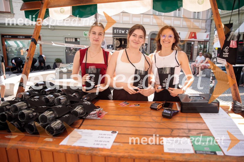 Ljubljanska vinska pot, poletna vinska razvajanja