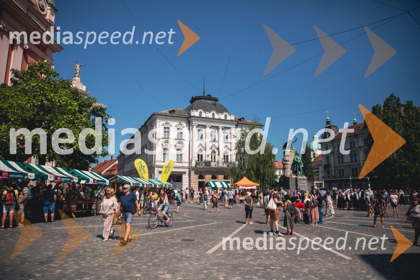 Ljubljanska vinska pot, poletna vinska razvajanja