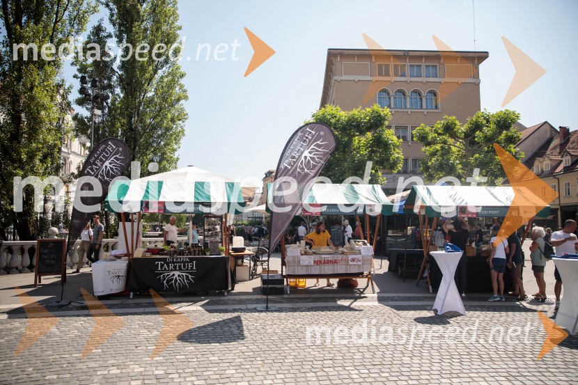 Ljubljanska vinska pot, poletna vinska razvajanja