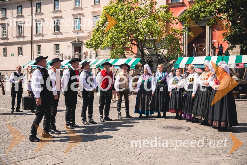 Ljubljanska vinska pot, poletna vinska razvajanja