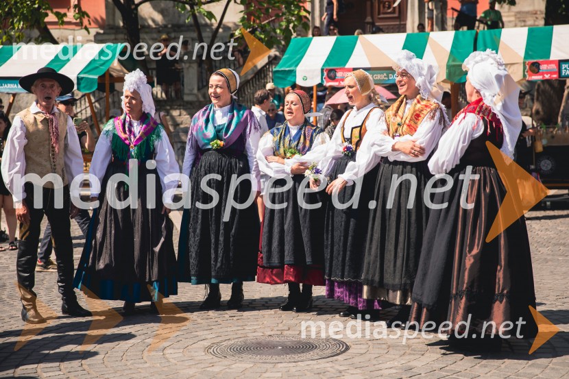 Ljubljanska vinska pot, poletna vinska razvajanja