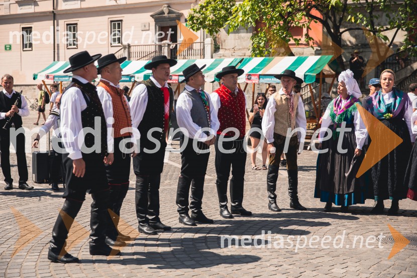 Ljubljanska vinska pot, poletna vinska razvajanja