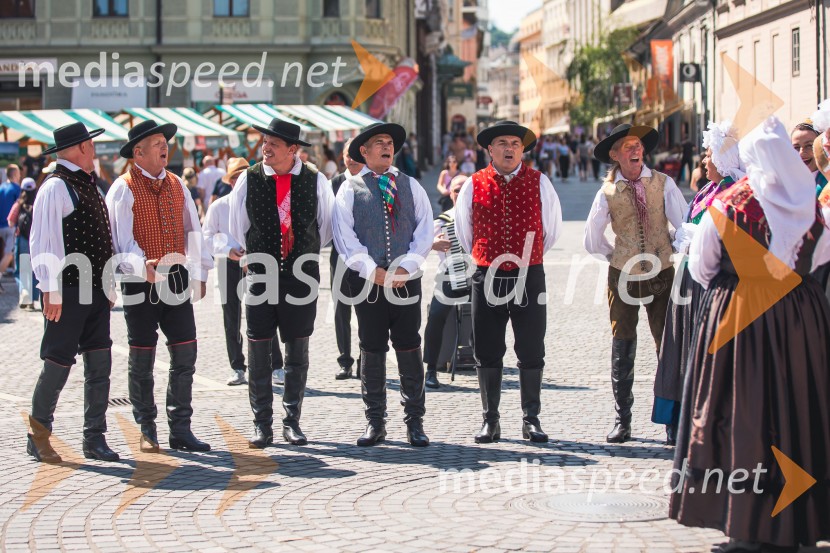 Ljubljanska vinska pot, poletna vinska razvajanja